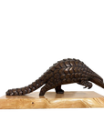 Pangolin