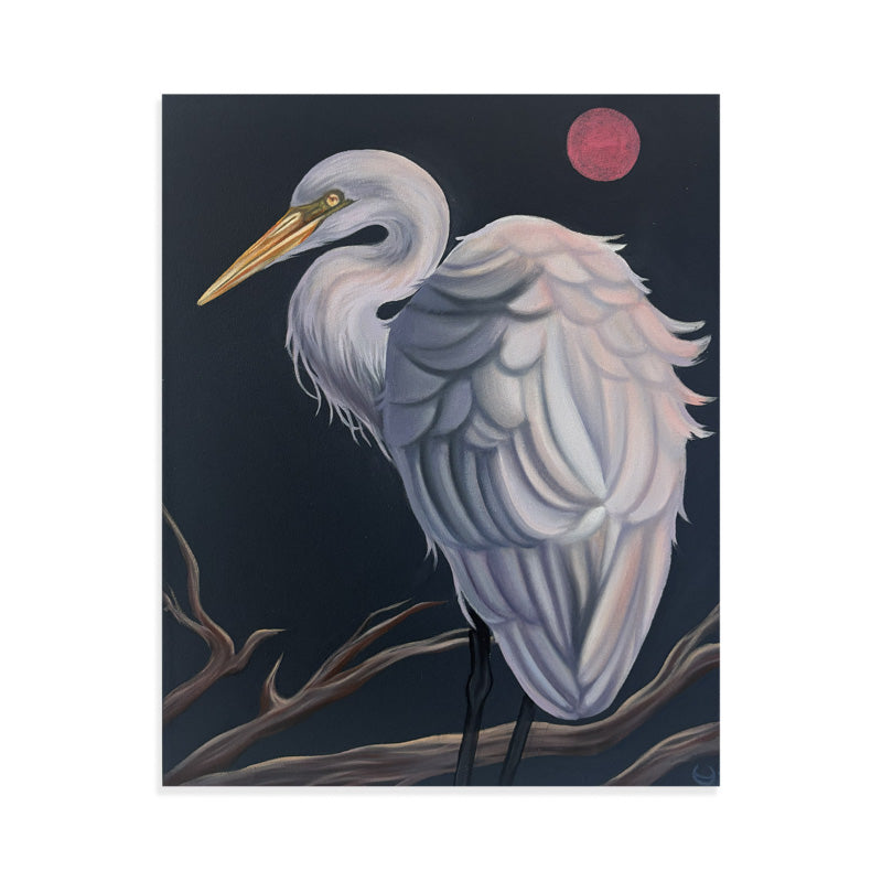 NOCTURNAL GRACE 1