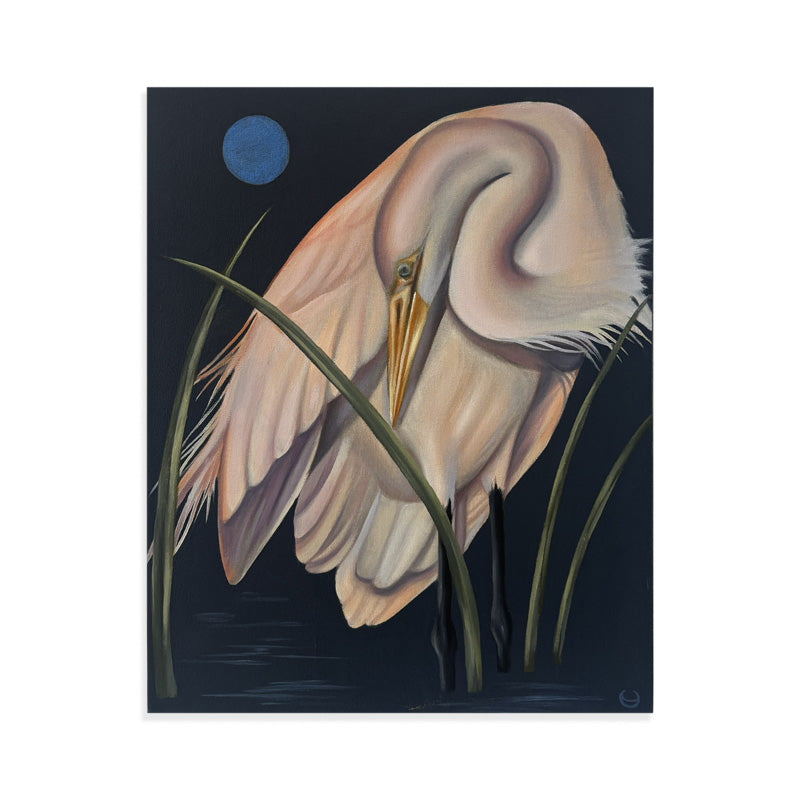 NOCTURNAL GRACE 2
