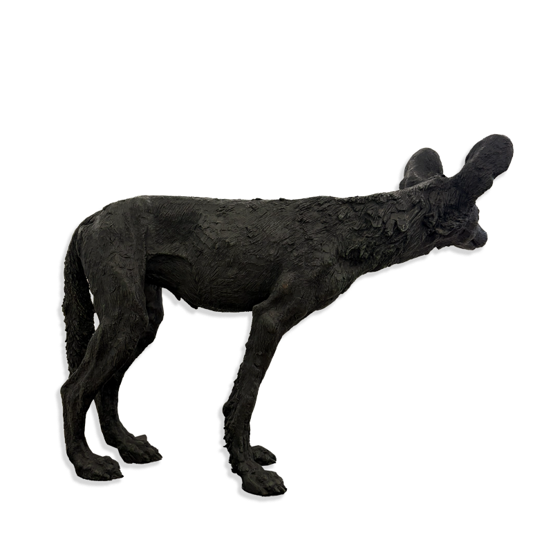 WILD DOG PUP
