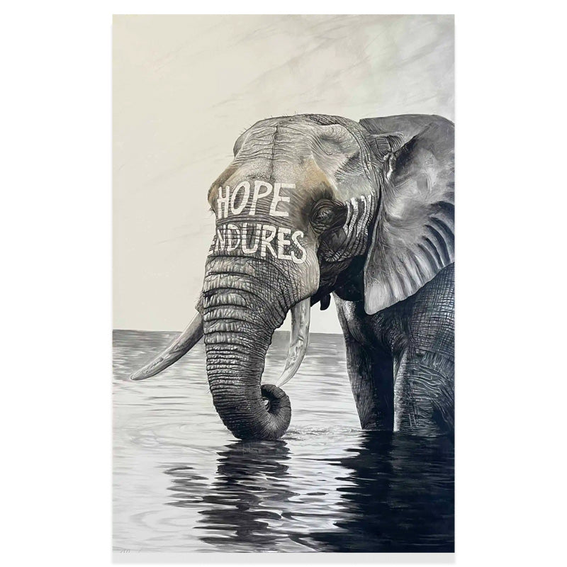Hope Endures
