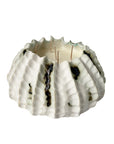 Urchin Candle L - Oxide