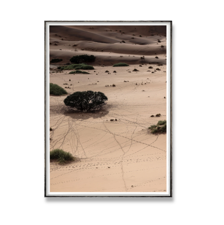 Tracks_Shade