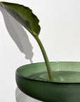 Ikebana Forest Green Tall Vase