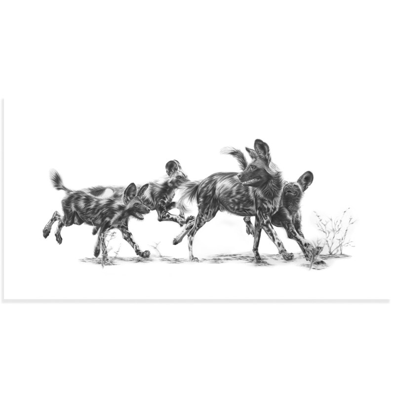 Wild Dogs